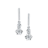 EARRINGS  RD V 0.146